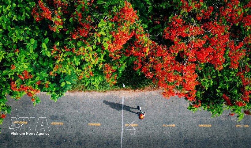 Vietnamese travellers favour nearby overseas trips for April 30 holiday